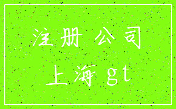 注册 公司_上海 gt