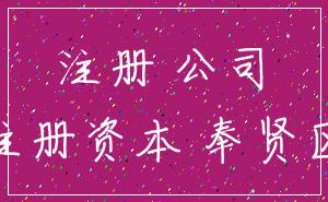 注册 公司_注册资本 奉贤区