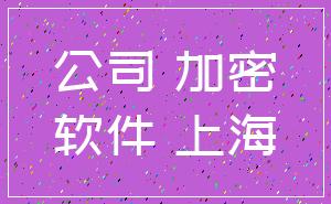 公司 加密_软件 上海