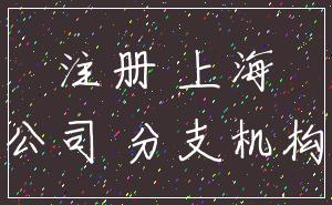 注册 上海_公司 分支机构