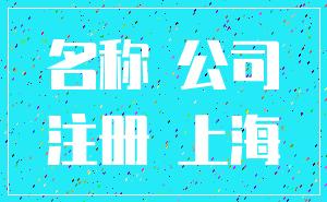 名称 公司_注册 上海