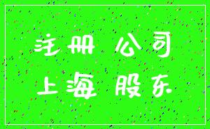 注册 公司_上海 股东
