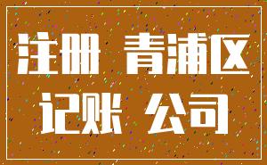 注册 青浦区_记账 公司