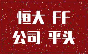 恒大 FF_公司 平头