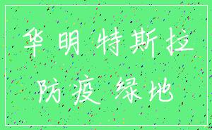 华明 特斯拉_防疫 绿地